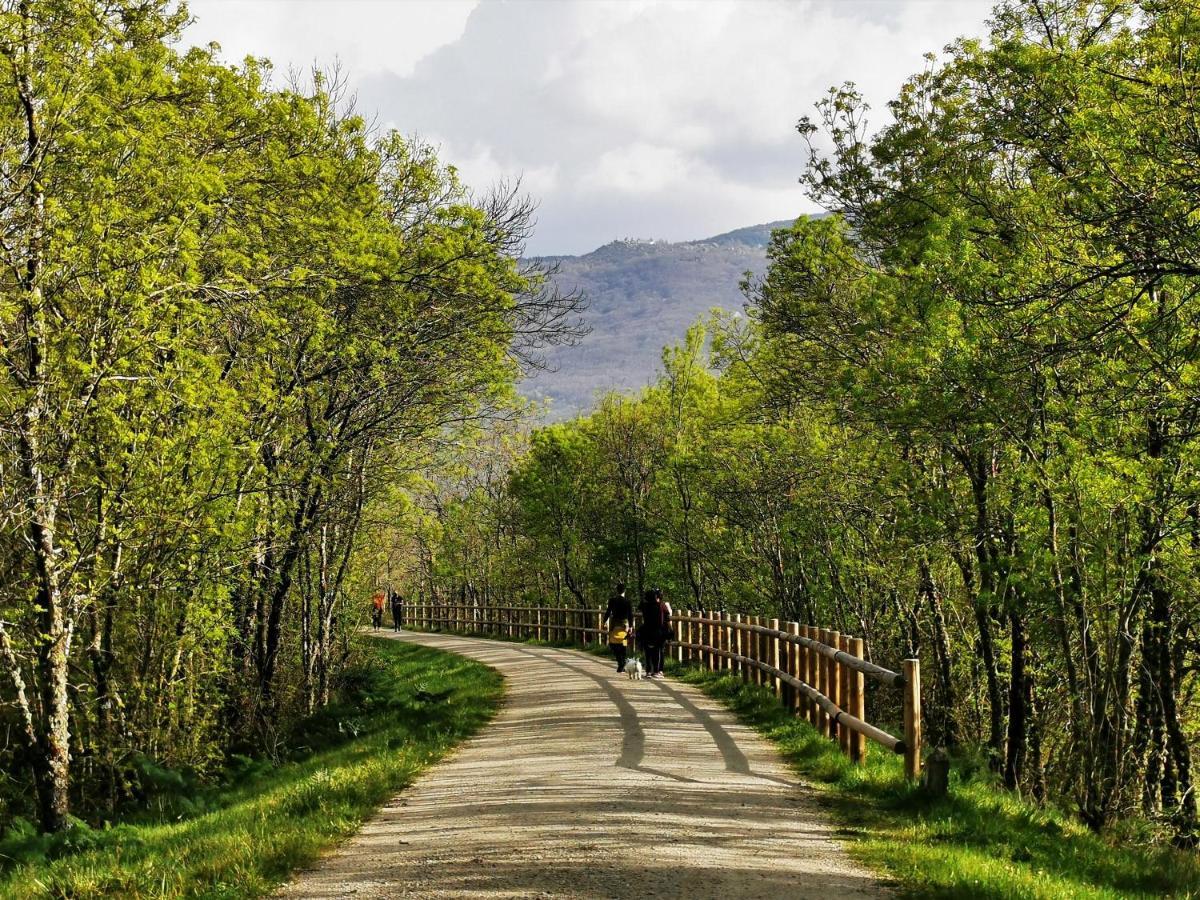 El Triskel De Chumbea, Alojamiento Excepcional Con Maravillosas Vistas A 5Km De Bejar Navalmoral de Bejar Exterior foto